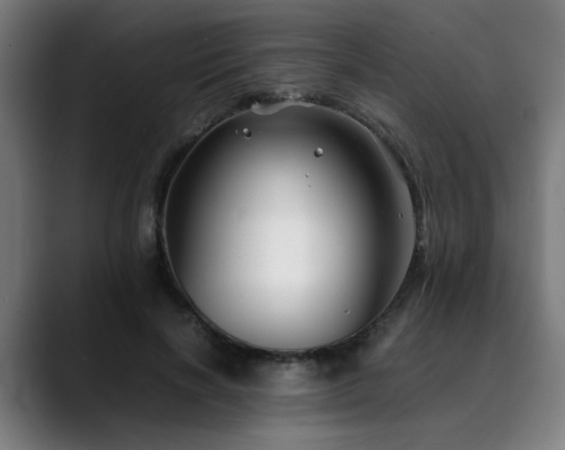 X0000090470646200707131258