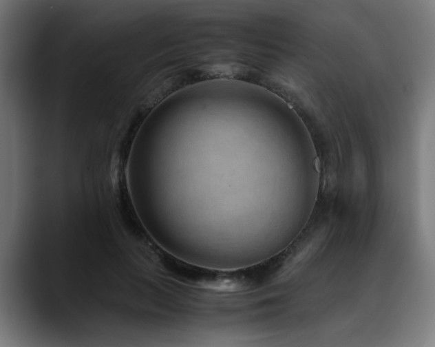 X0000090470647200707131258