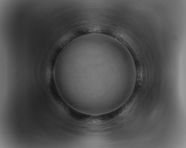 X0000090470648200707131258