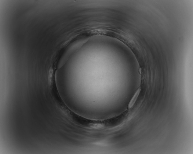X0000090470649200707131258