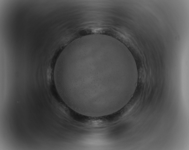 X0000090470650200707131258