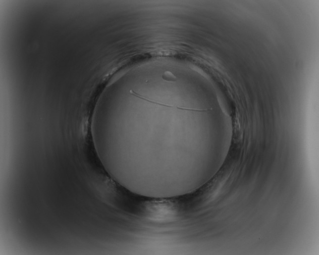 X0000090470652200707131258