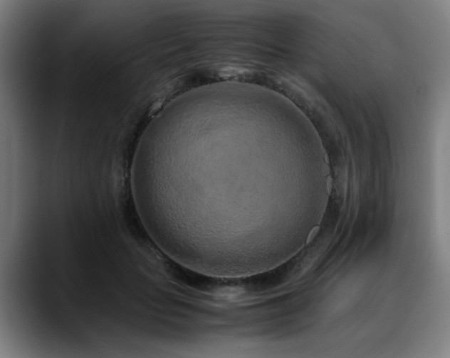 X0000090470653200707131258