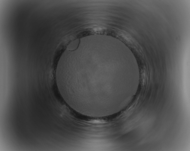 X0000090470654200707131258