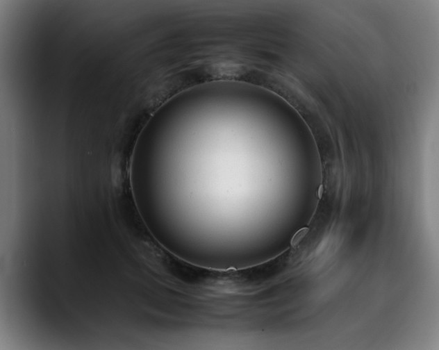 X0000090470655200707131258