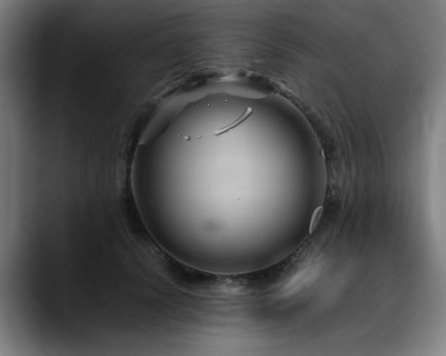 X0000090470656200707131258