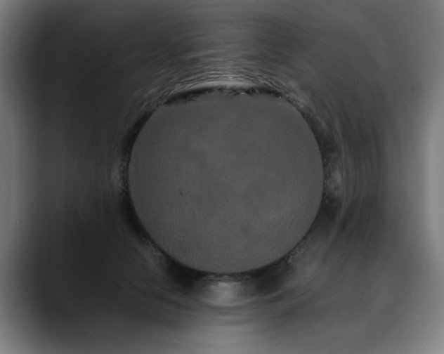 X0000090470658200707131258