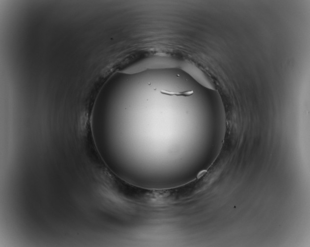 X0000090470660200707131258