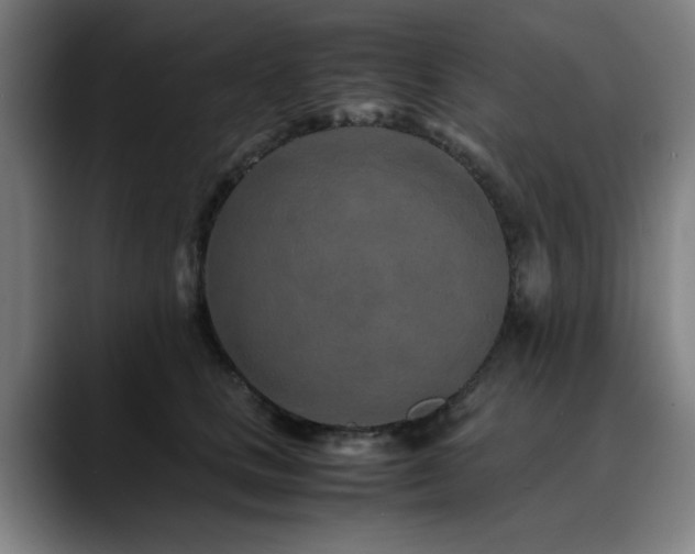 X0000090470661200707131258