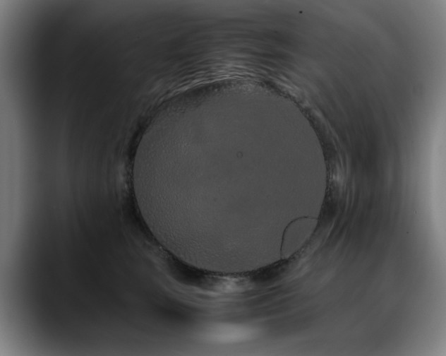 X0000090470663200707131258