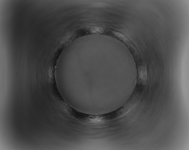 X0000090470667200707131259