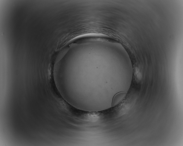 X0000090470668200707131259