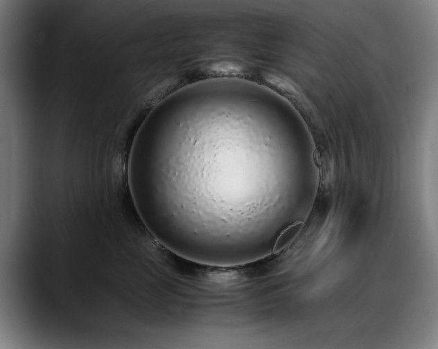 X0000090470669200707131259