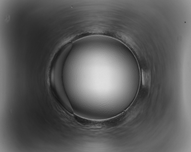 X0000090470675200707131258