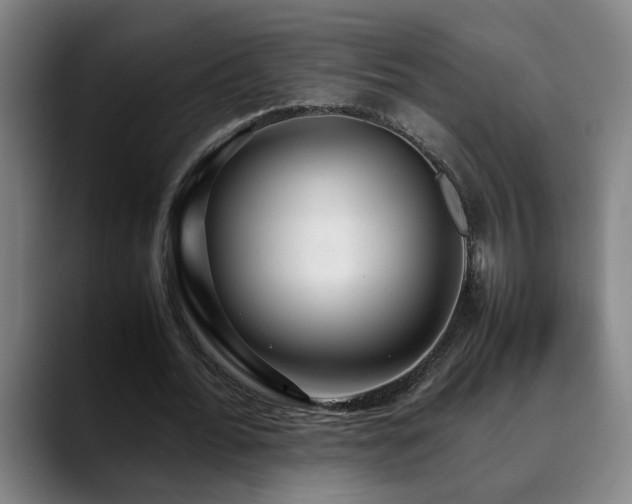 X0000090470676200707131258