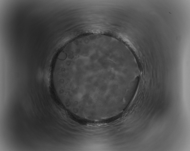 X0000090470679200707131258