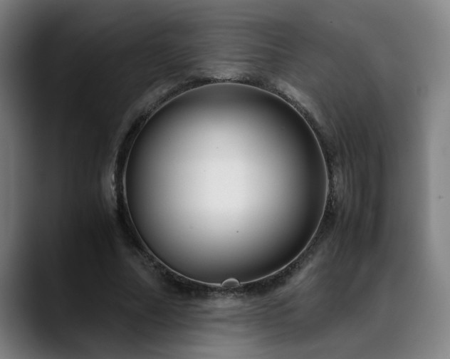 X0000090470682200707131258