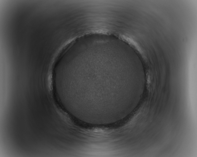 X0000090470684200707131258