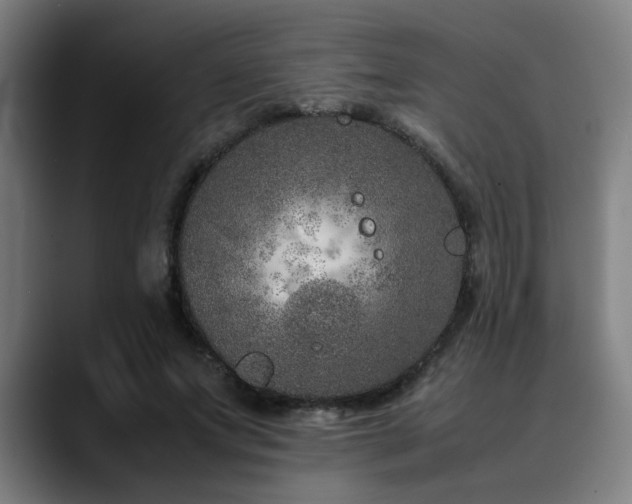 X0000090470687200707131258
