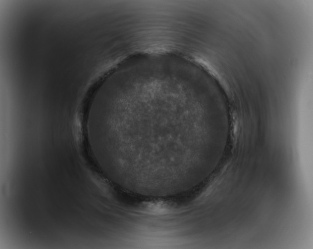 X0000090470688200707131258