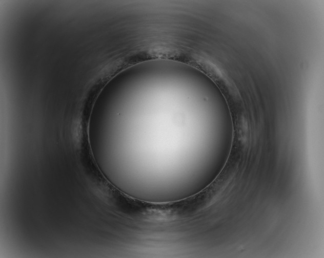 X0000090470690200707131258