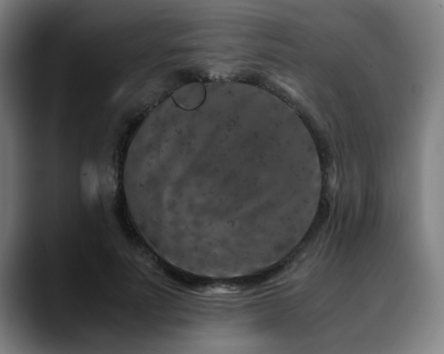 X0000090470691200707131258