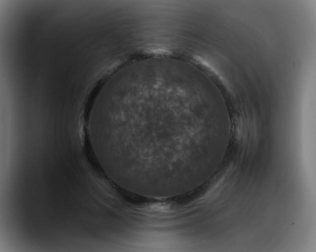 X0000090470692200707131258