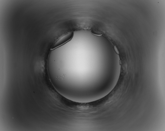X0000090470693200707131258