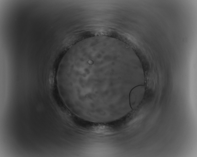 X0000090470695200707131258