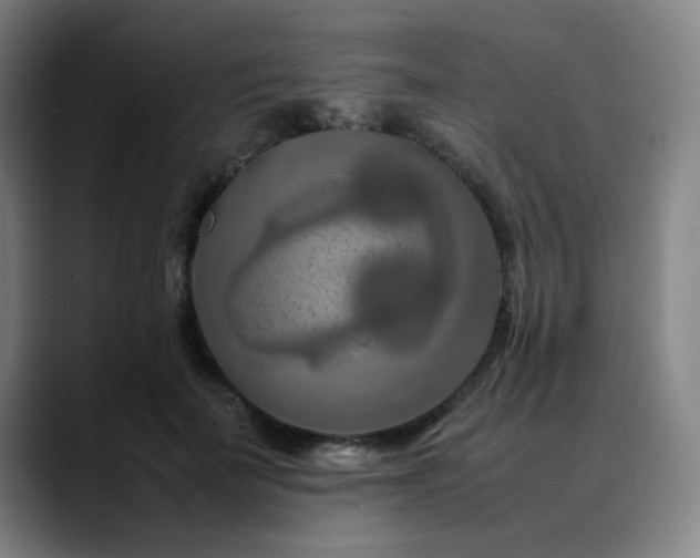 X0000090470699200707131258