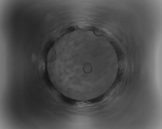 X0000090470703200707131258