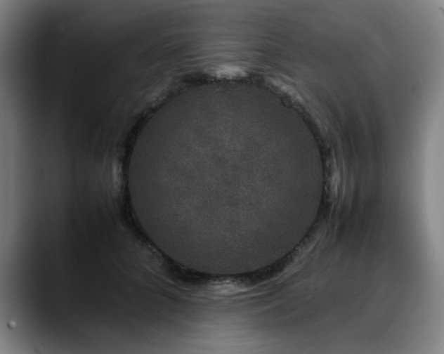 X0000090470704200707131258