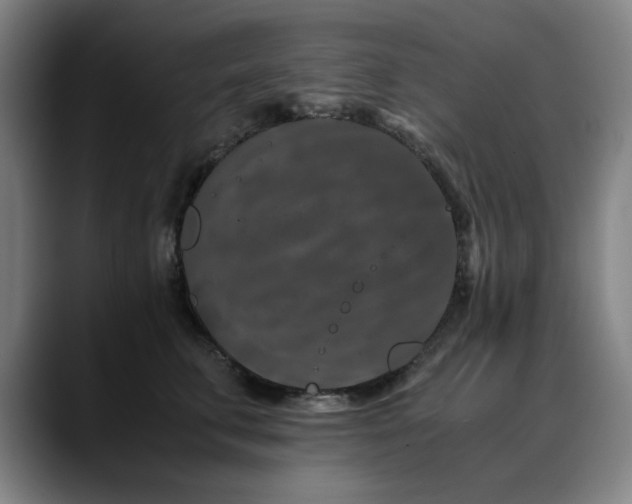X0000090470711200707131258