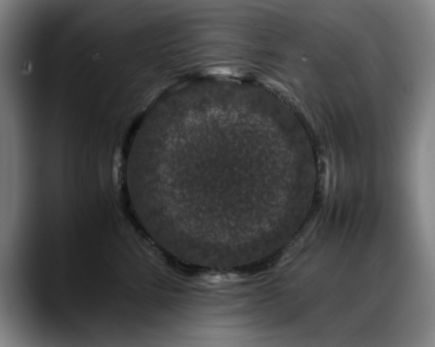 X0000090470712200707131258
