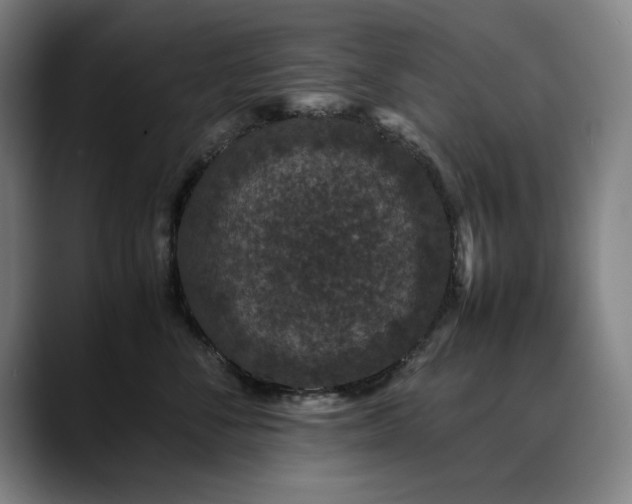 X0000090470716200707131258