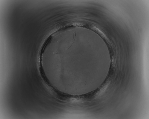 X0000090470725200707131257