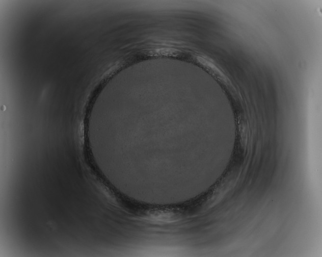 X0000090470729200707131257