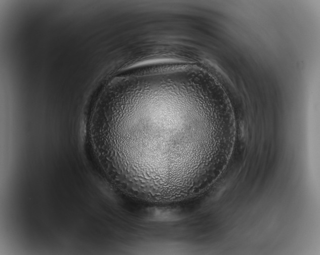 X0000090470733200707131257