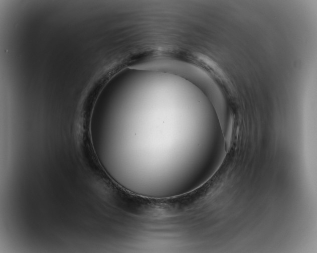 X0000090470736200707131257