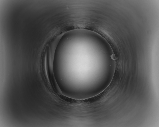 X0000090470738200707131257