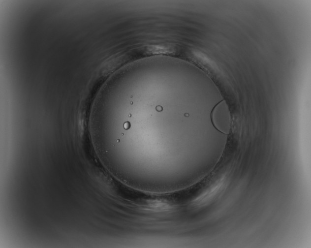 X0000090470741200707131257