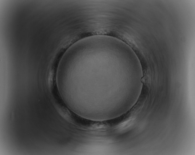 X0000090470742200707131257