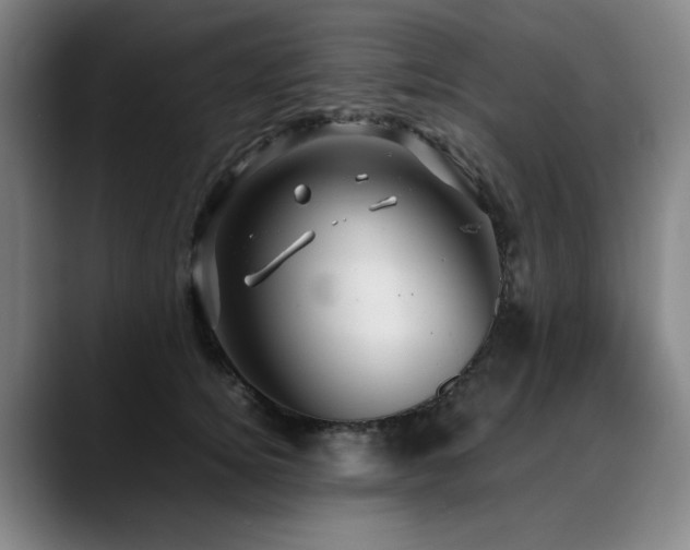 X0000090470756200707131257