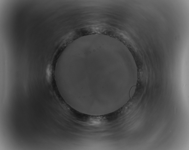 X0000090470757200707131257