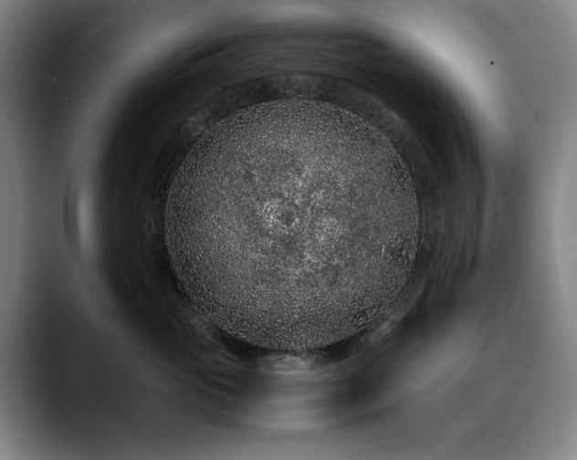 X0000090470765200707131257