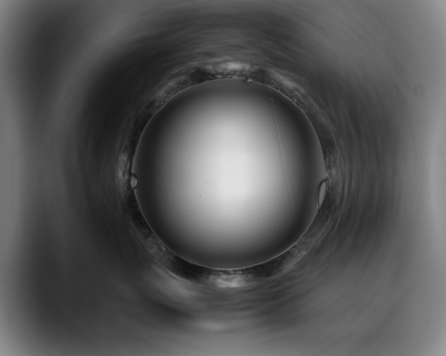 X0000090470767200707131257