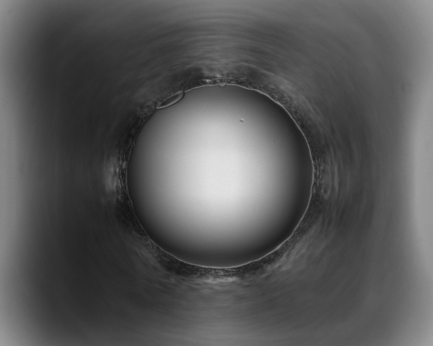 X0000090470770200707131257