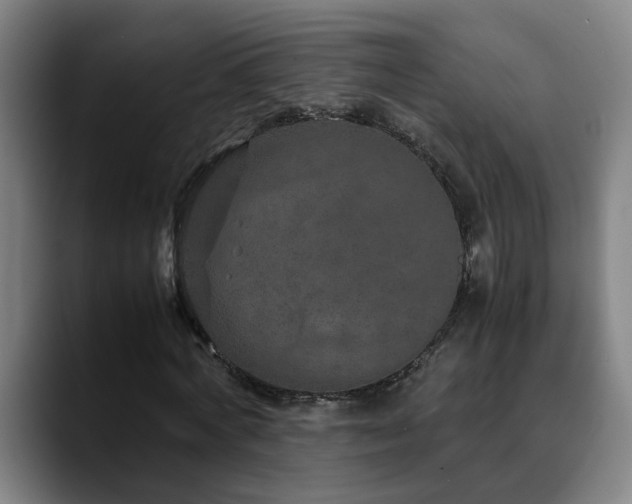 X0000090470772200707131257