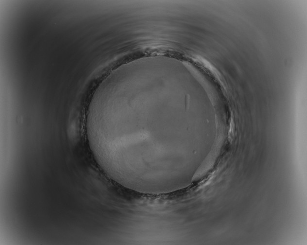 X0000090470775200707131257