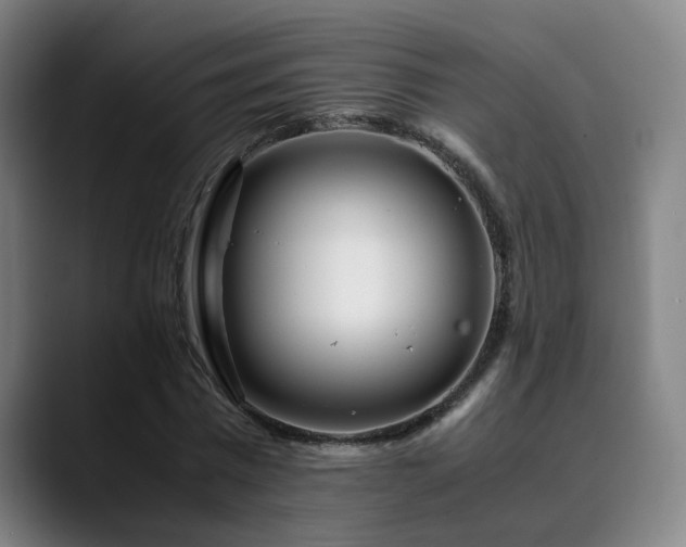 X0000090470777200707131257